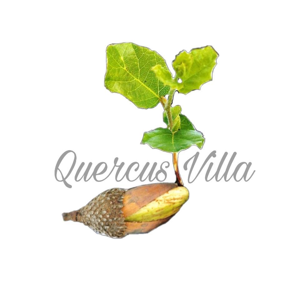 ססימברה Quercus Villa מראה חיצוני תמונה